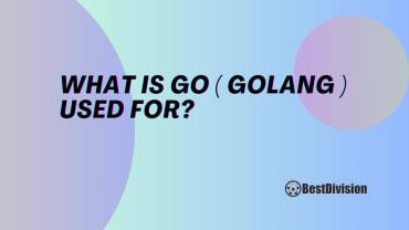What Is Go (Golang) Used For? A Comprehensive Guide