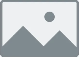 What is Go and Why was it created?